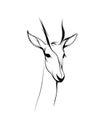 Gazelle head Gazelle head isolated on transparent background. Royalty Free Stock Photo