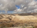 Gazelle in Judean desert near Kfar Adumim Israel