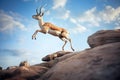 gazelle leaping over rocky terrain