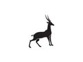 Gazelle silhouette black antelope. Ghazal vector stand side view illustration isolated on white background