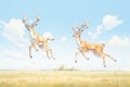 gazelles jumping playfully in an open field Royalty Free Stock Photo