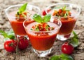 Gazpacho Royalty Free Stock Photo