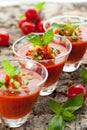 Gazpacho