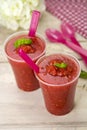 Gazpacho cold Spanish soup Royalty Free Stock Photo