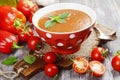 Gazpacho Royalty Free Stock Photo