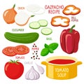 Gazpacho recipe. Large saucepan, tomato soup products. Culinary course poster concept. Dish of Spanish cuisine