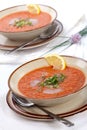 Gazpacho soup Royalty Free Stock Photo