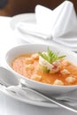 Gazpacho soup Royalty Free Stock Photo