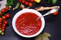 Gazpacho Spanish cold soup Royalty Free Stock Photo