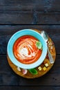 Gazpacho Tomato soup Royalty Free Stock Photo