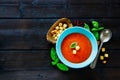 Gazpacho Tomato soup Royalty Free Stock Photo