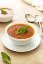 Gazpacho tomato soup, bowl of vegetable soup with basil leaves Royalty Free Stock Photo