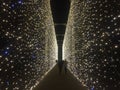 Christmas illuminations in Park Oliwski, Gdansk, Poland Royalty Free Stock Photo