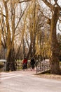 Gdansk Poland May 2022 People ride bicycles in the park. Sport Recreation On Bicycle People walking slowly relax in the