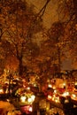 Gdansk, Poland - November 1 2011 : Cemetery in Nowy Port on All Saints` Day.