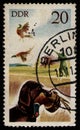 GDR - CIRCA 1977: animals Dog with Common Pheasant (Phasianus colchicus), bird hunting, seal Berlin postmark Royalty Free Stock Photo