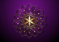 Gold Seed of life symbol Sacred Geometry. Logo icon  Geometric mystic mandala of alchemy esoteric Flower of Life. Vector golden Royalty Free Stock Photo