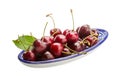 Gean - cherry Royalty Free Stock Photo