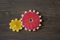 Gear drive made of citrus slices Royalty Free Stock Photo