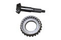 gear ring and pinion, Royalty Free Stock Photo