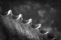 Gear Teeth in Gritty Black and White