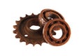 Gear wheels and cogs