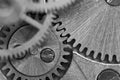 Gears black-and-white. Industrial background. The concept of technology, time, teamwork, infinity, business projects Royalty Free Stock Photo