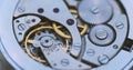 Gears And Mainspring In The Mechanism Of A Watch