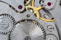 Gears in retro steel mechanical watch