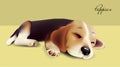 Sleeping cute puppy. Adorable pet on yellow background.