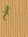 Gecko on Bamboo Wall Royalty Free Stock Photo