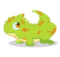 Gecko so cute Royalty Free Stock Photo