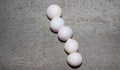 Gecko eggs Royalty Free Stock Photo