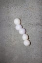 Gecko eggs Royalty Free Stock Photo
