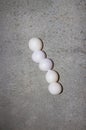 Gecko eggs