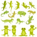 Gecko icon cartoon vector. Chameleon animal