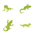 Gecko icons set cartoon vector. Cute cartoon green lizard Royalty Free Stock Photo