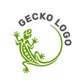 Gecko lizard logo graphic design concept.