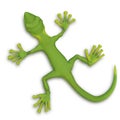 Gecko lizzard 3d Royalty Free Stock Photo