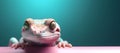 Gecko reptile peeking over pastel bright background. advertisement Royalty Free Stock Photo