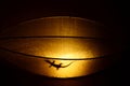 Silhouette of a gecko in a Vietnamese paper-lamp.