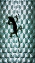 Gecko silhouette inside a lamp