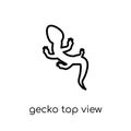 Gecko top view shape icon from Brazilian icons collection. Royalty Free Stock Photo