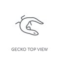 Gecko top view shape linear icon. Modern outline Gecko top view