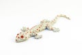 Gecko toy