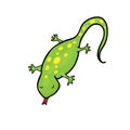 Gecko Royalty Free Stock Photo