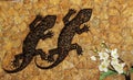 Gecko on the wall Royalty Free Stock Photo