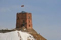 Gediminas Castle in Vilnius