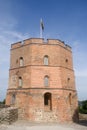 Gedimino Tower, Vilnius, Lithuania Royalty Free Stock Photo