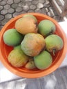 gedong gincu mango fruit in an orange container